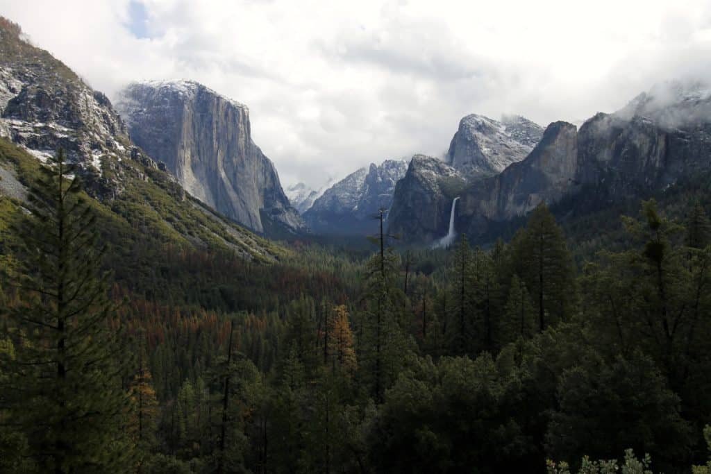 Yosemite National Park - Charleston Crafted