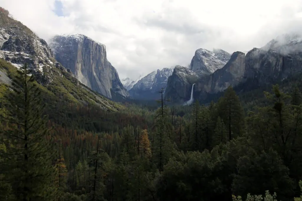 Yosemite National Park - Charleston Crafted