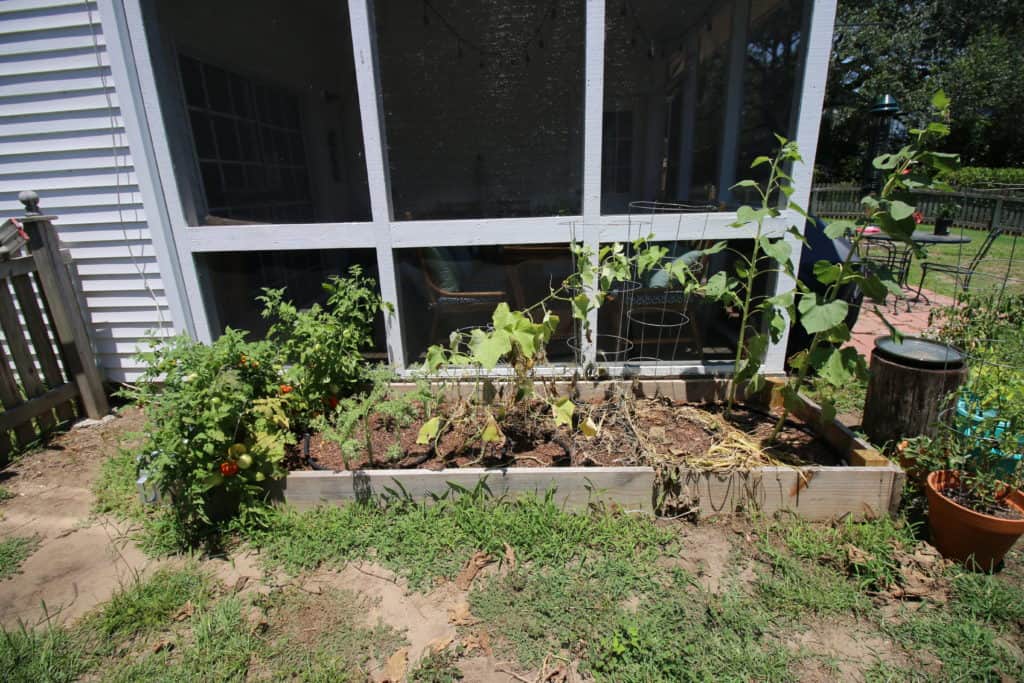 Garden Update - Charleston Crafted