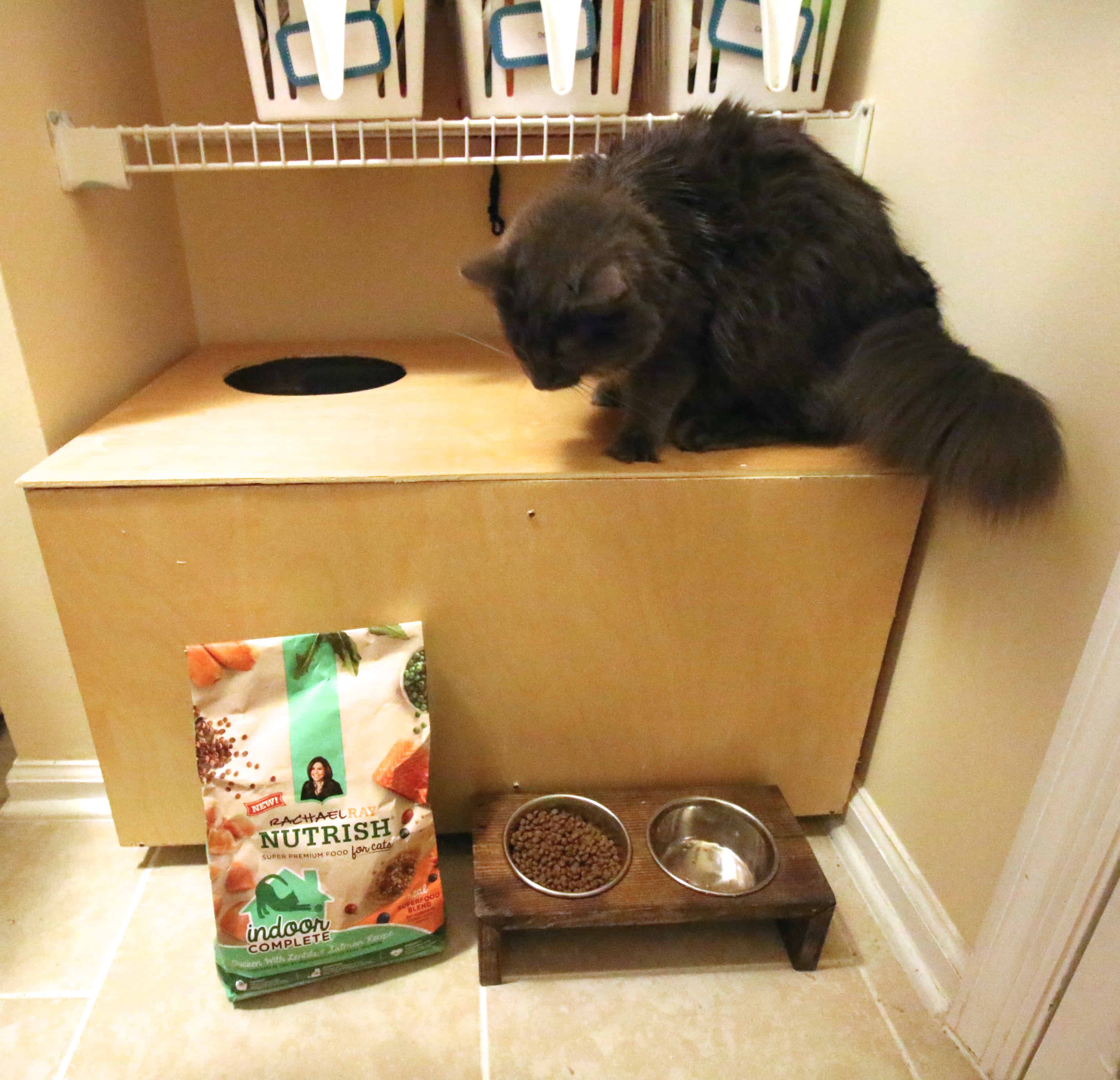 DIY Wooden Top Entry Cat Litter Box