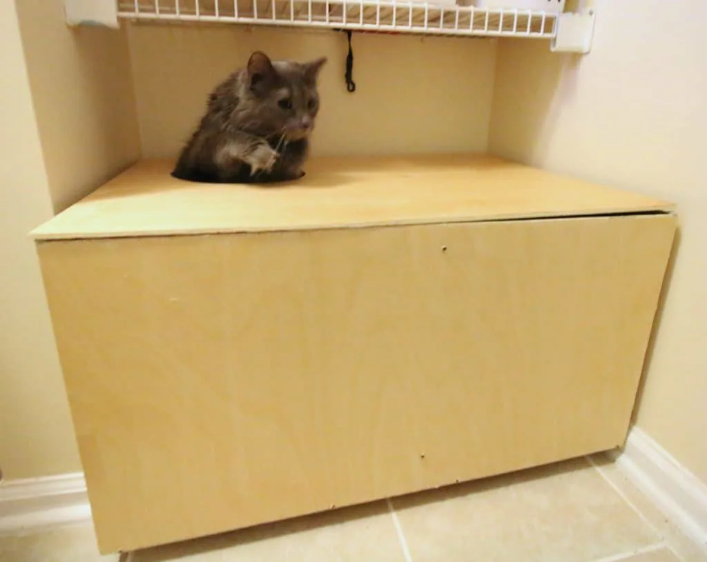 DIY Wooden Top Entry Cat Litter Box - Charleston Crafted