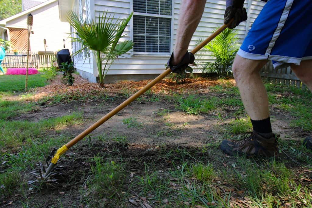 How to transplant grass - Charleston Crafted