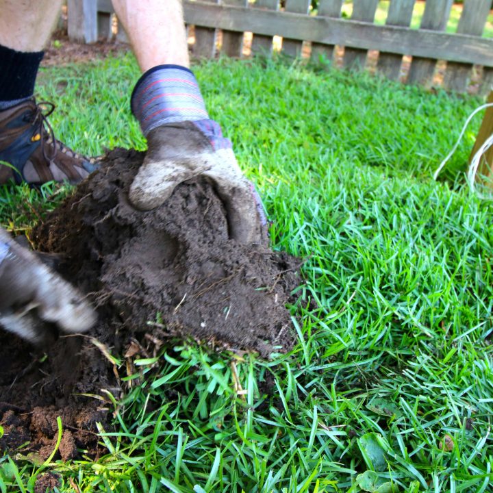 How to Patch Grass