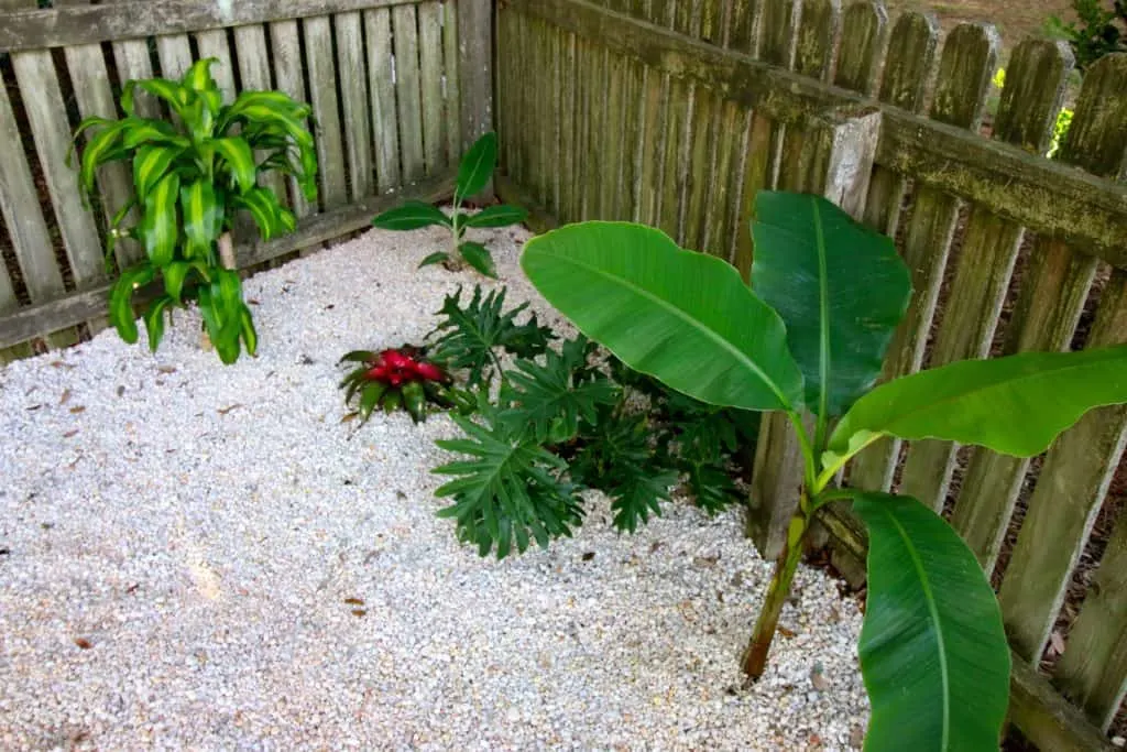 Our Tropical Oasis - A backyard Hammock area - Charleston Crafted