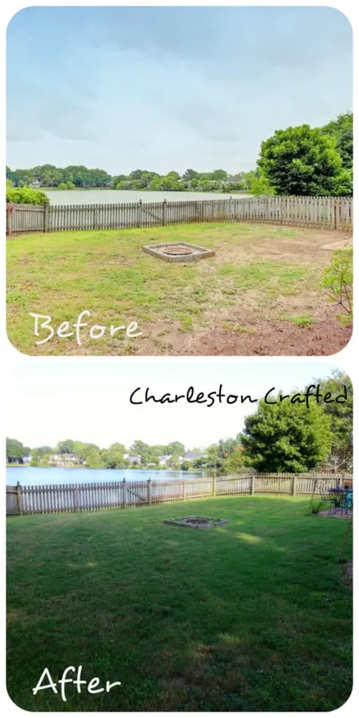 What I've Learned About Growing Grass - Charleston Crafted