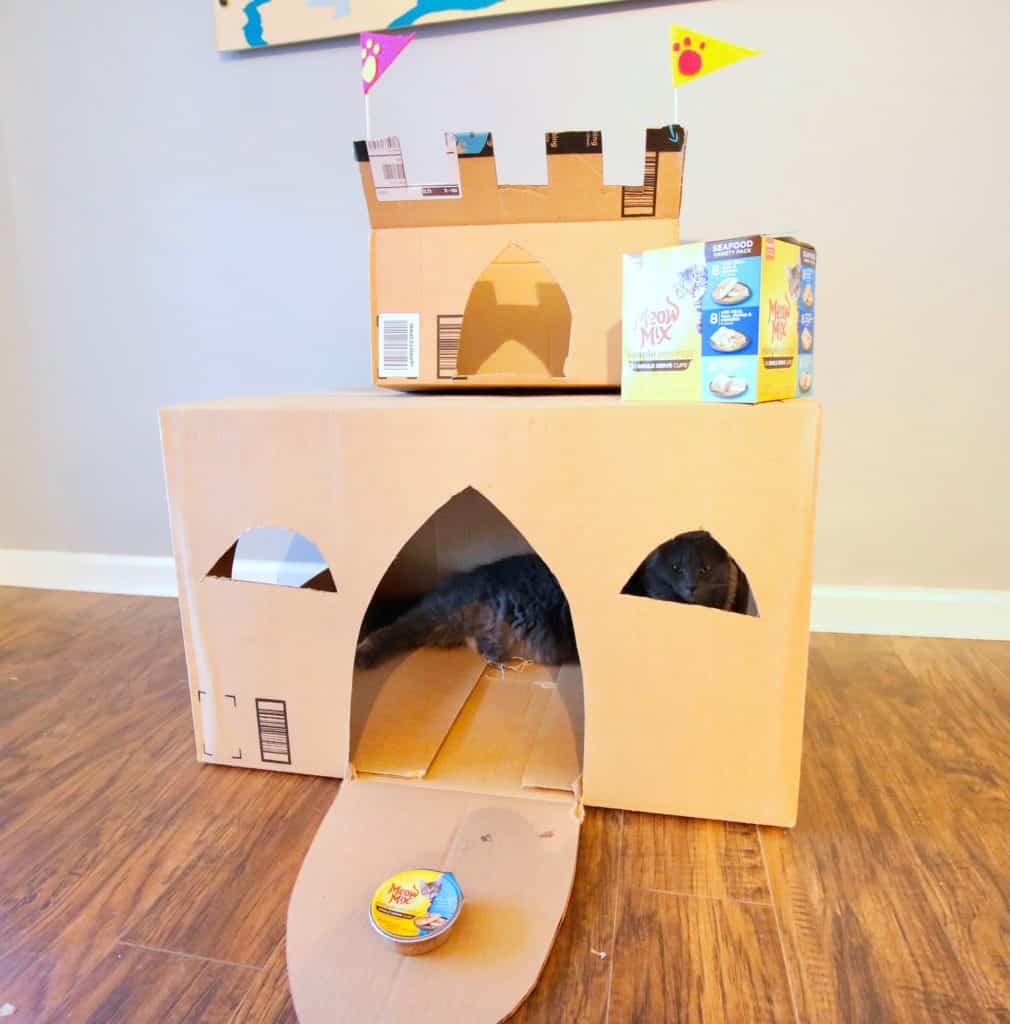 How to Build a DIY Cardboard Cat Castle via Charleston Crafted