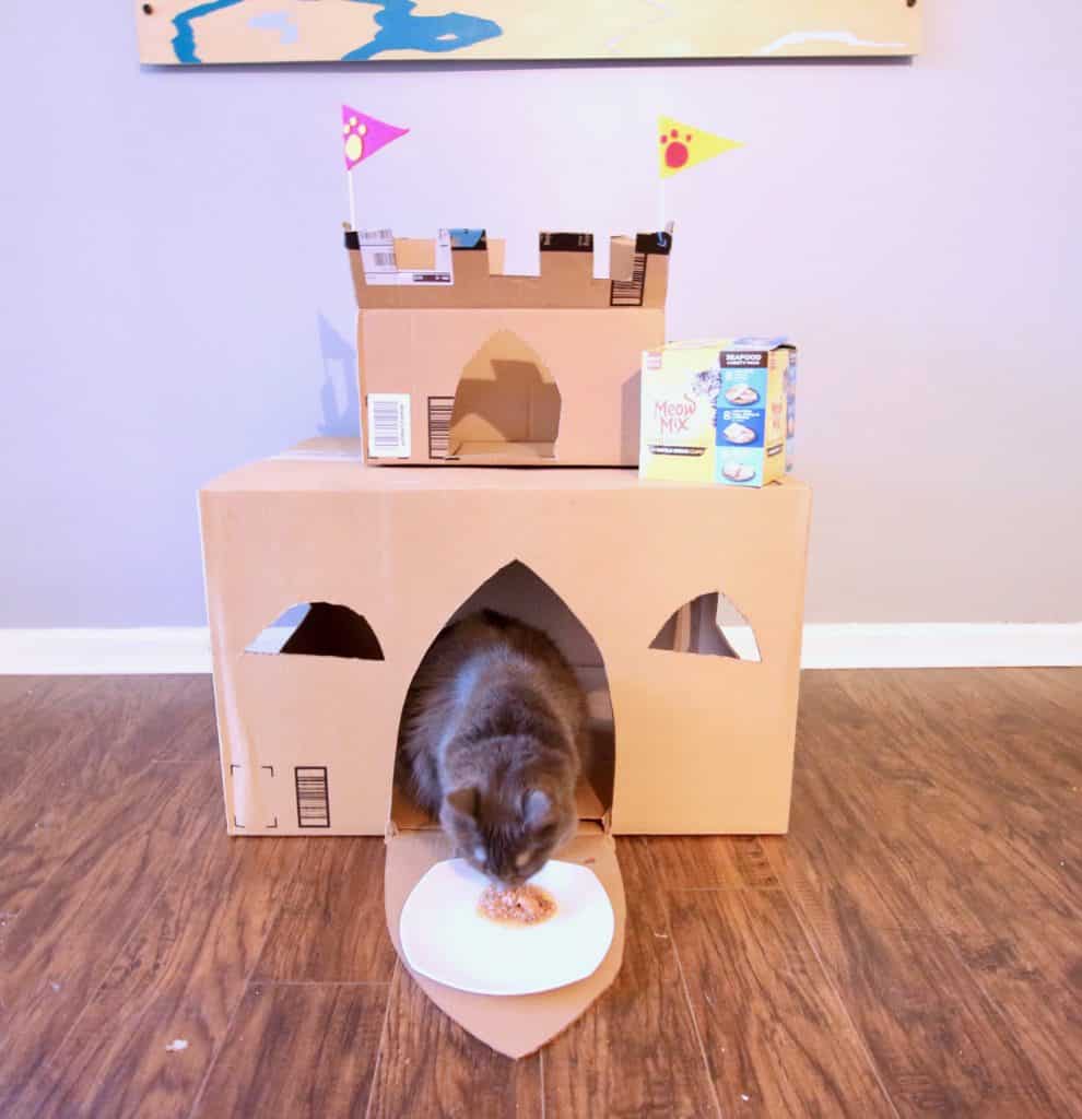 How to Build a DIY Cardboard Cat Castle via Charleston Crafted