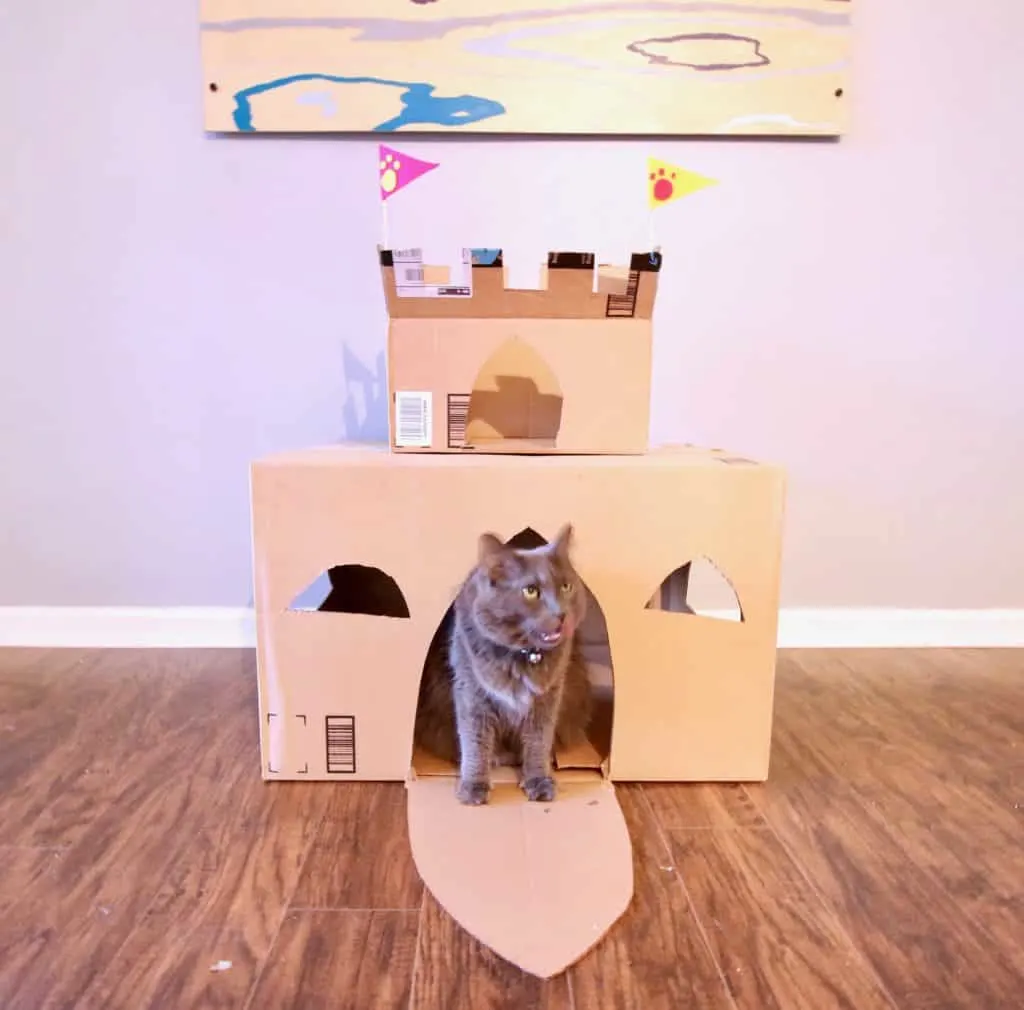 Diy cardboard box cat house sale