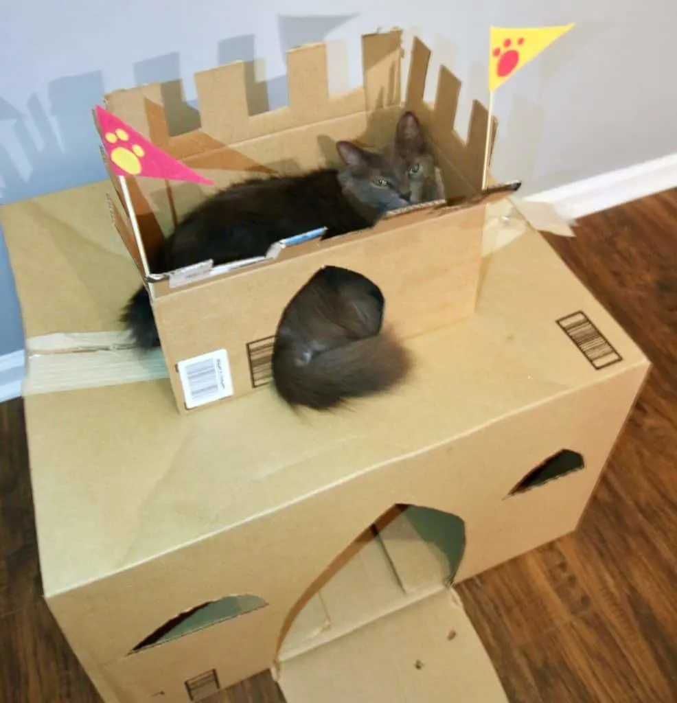 How to Build a DIY Cardboard Cat Castle via Charleston Crafted