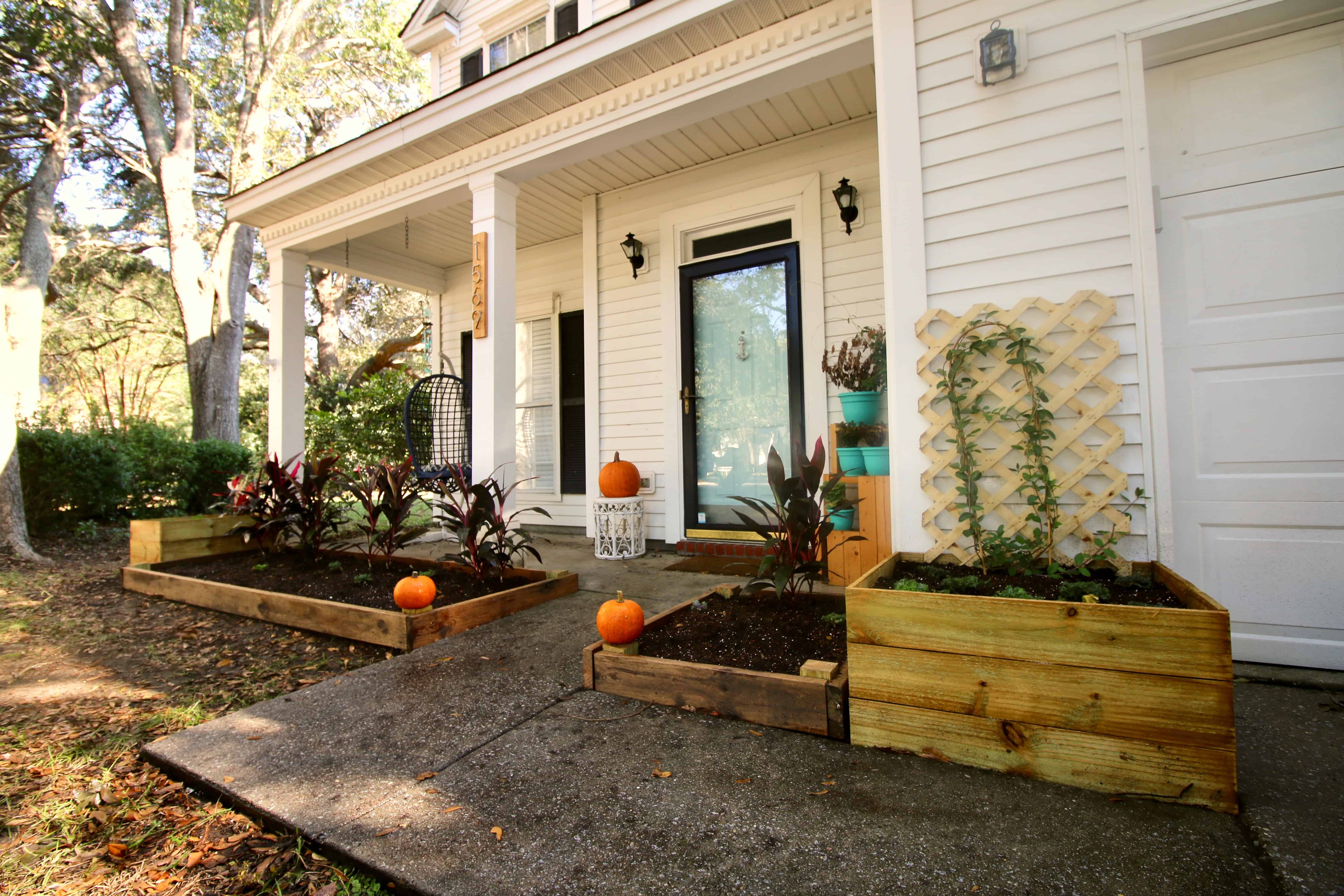 DIY Raised Bed Flower Garden