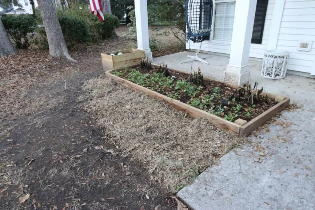 Removing Our Old Patio - Charleston Crafted