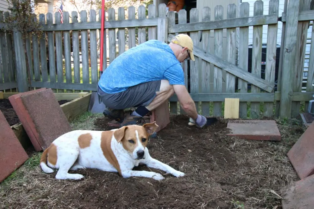 Our DIY Garden Paver Walkway - Charleston Crafted