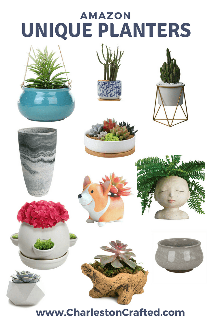 11 Unique Planters from Amazon via Charleston Crafted