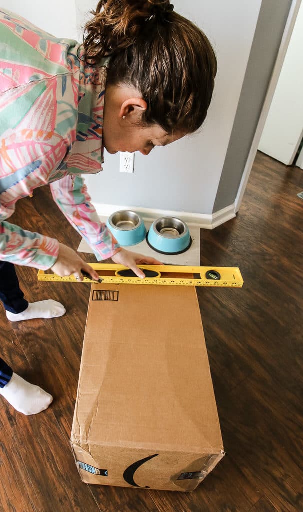 DIY Cardboard Cat Play Box via Charleston Crafted