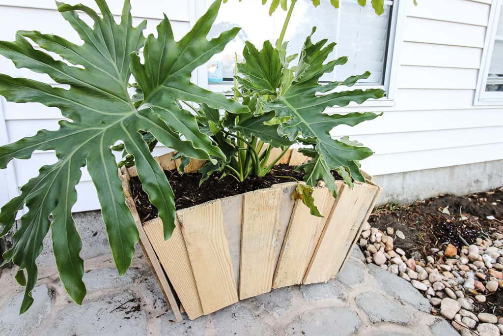 Scalloped Pallet Wood Planter - Charleston Crafted