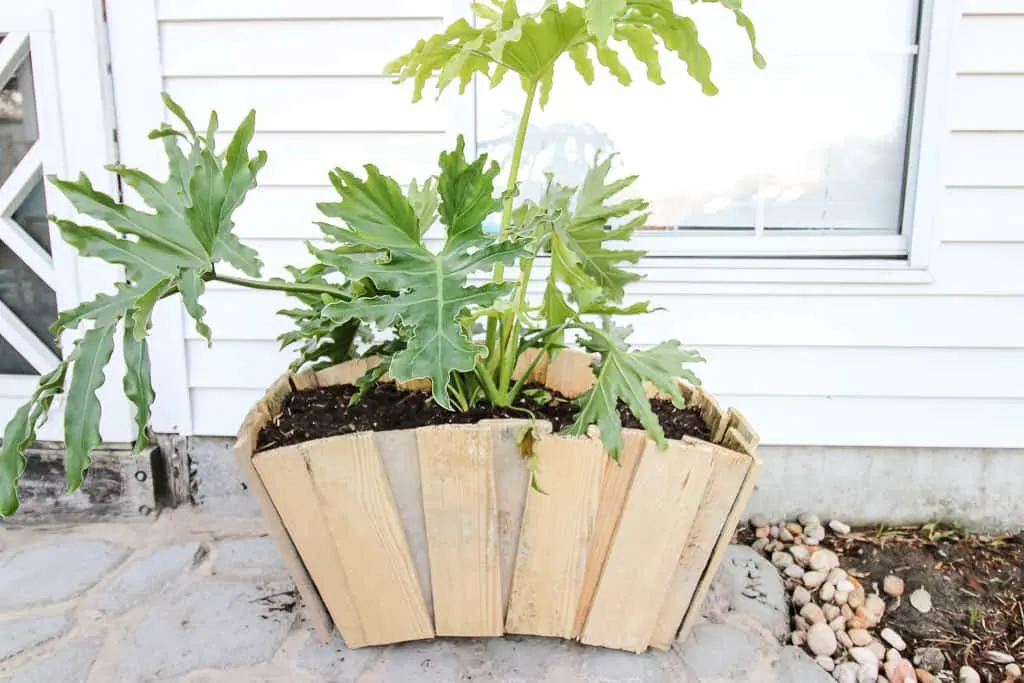 Scalloped Pallet Wood Planter - Charleston Crafted