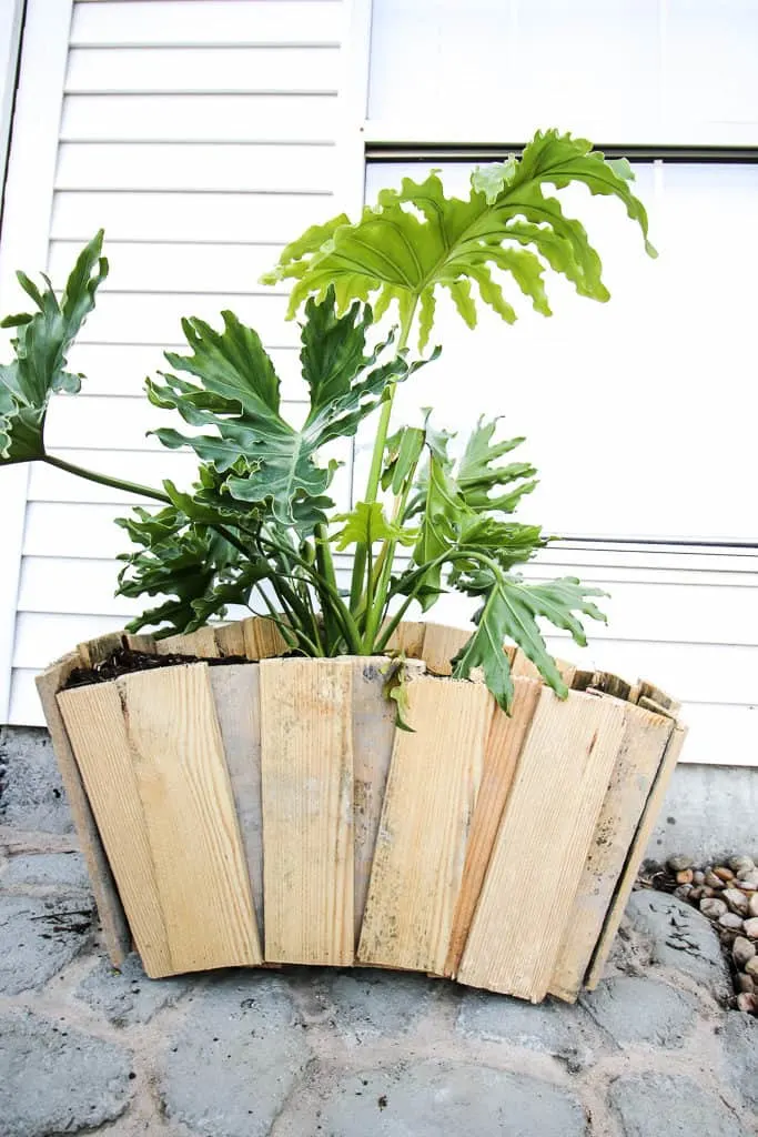 Scalloped Pallet Wood Planter - Charleston Crafted
