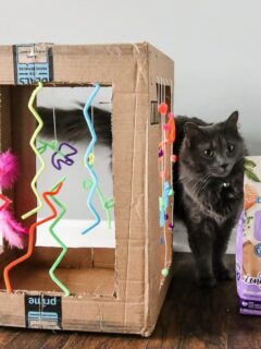 DIY Cardboard Cat Play Box via Charleston Crafted