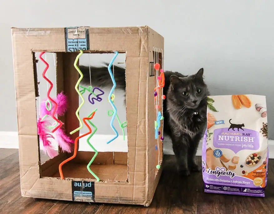 DIY Cardboard Cat Play Box