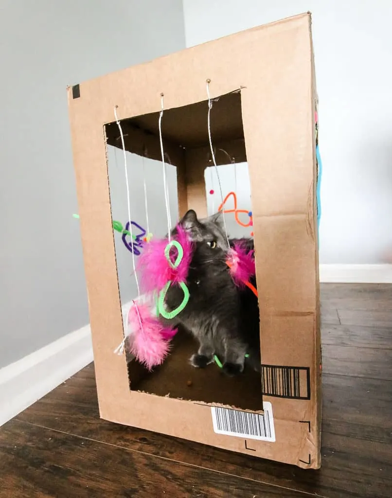 DIY Cardboard Cat Play Box via Charleston Crafted