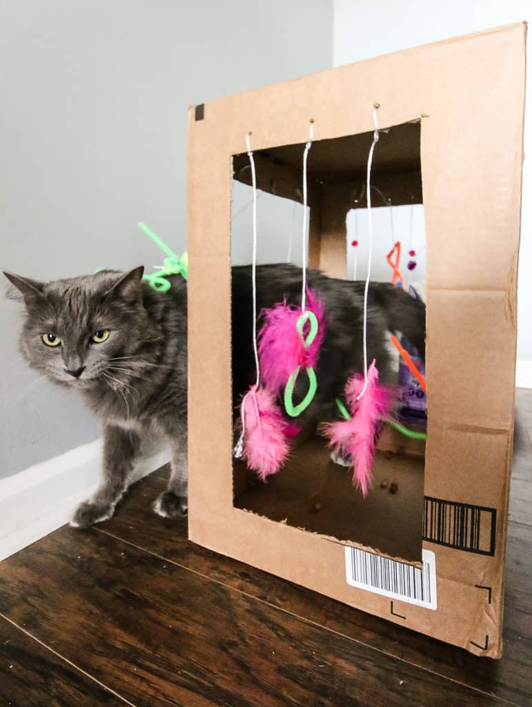 DIY Cardboard Cat Play Box via Charleston Crafted