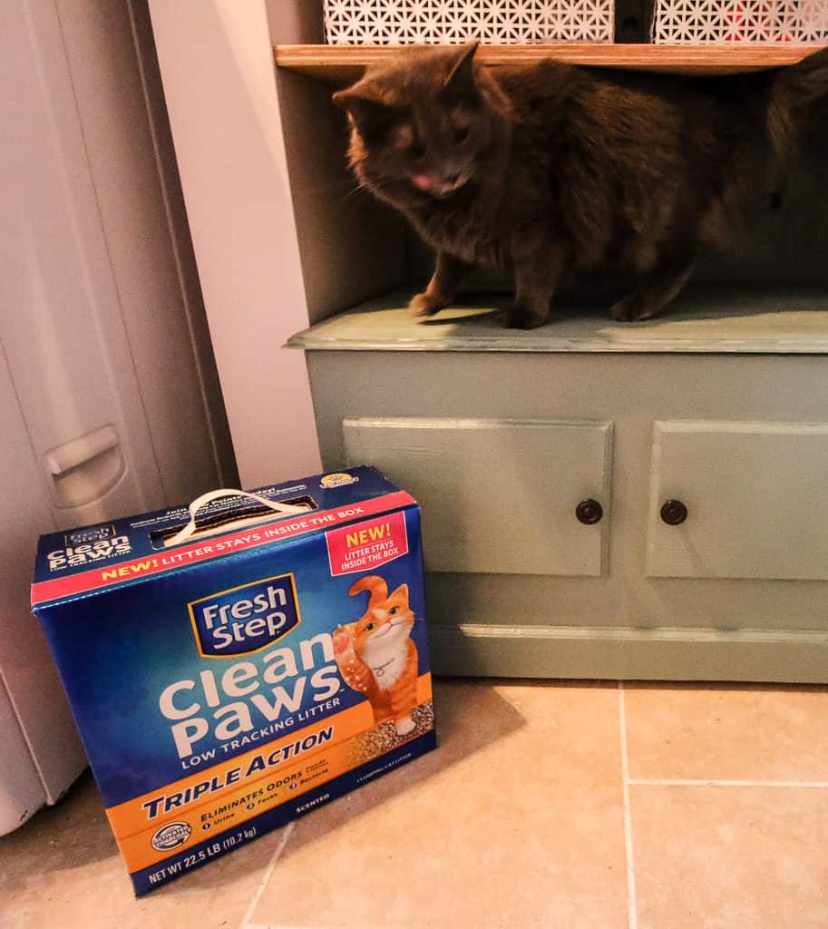 DIY Hidden Litter Box Solution - Charleston Crafted