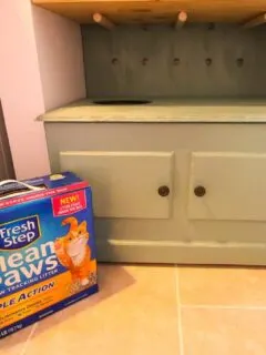 DIY Hidden Litter Box Solution - Charleston Crafted