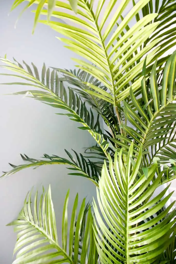 When to Give Up on Live Plants and Buy a Fake Tree - from Amazon via Charleston Crafted
