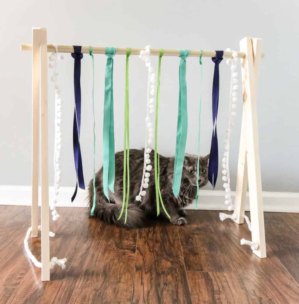 DIY Cat Play Gym via Charleston Crafted