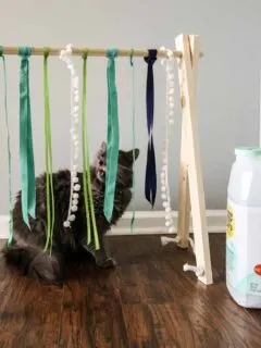 DIY Cat Play Gym via Charleston Crafted