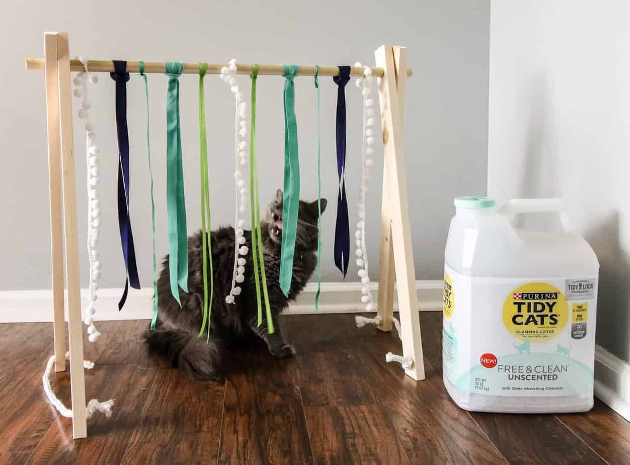 DIY Cat Play Gym