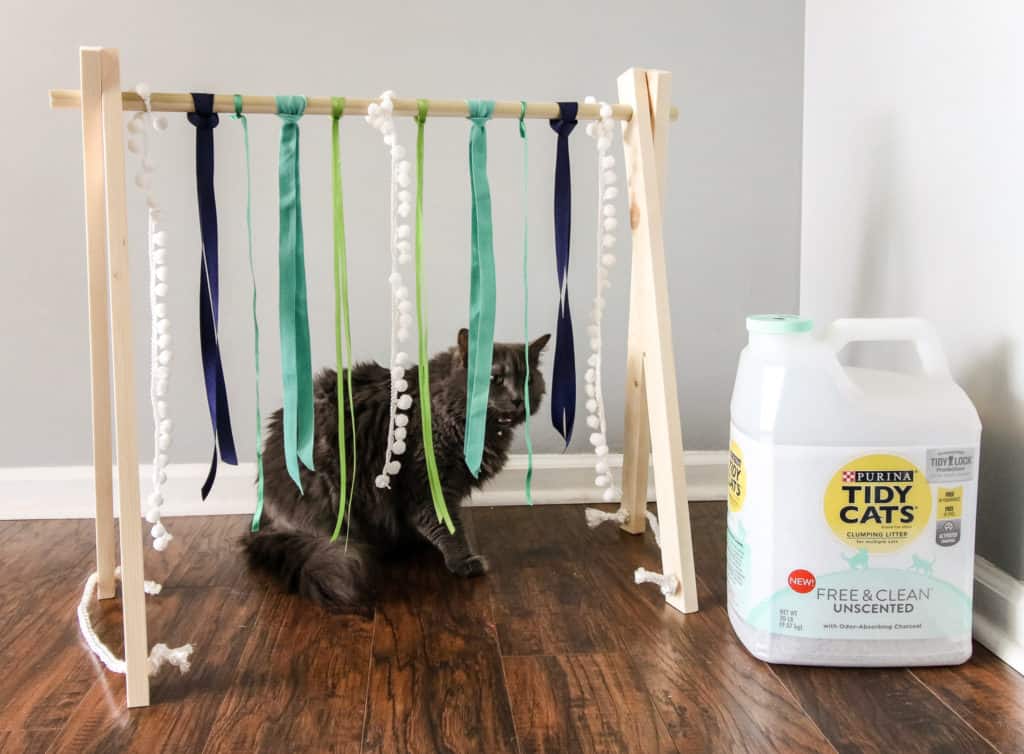 DIY Cat Play Gym via Charleston Crafted