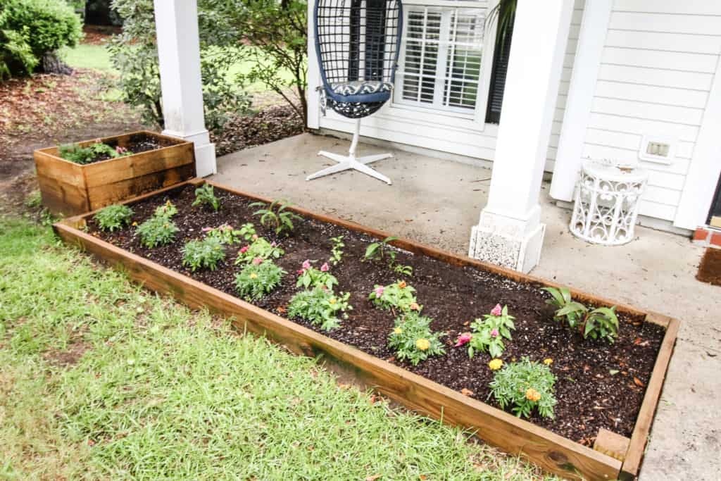 Garden Update via Charleston Crafted