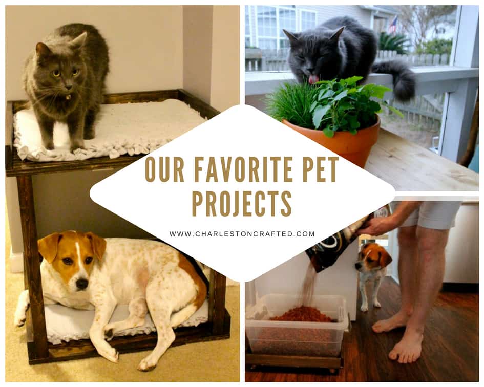 Our Favorite Pet Projects - Charleston Crafted