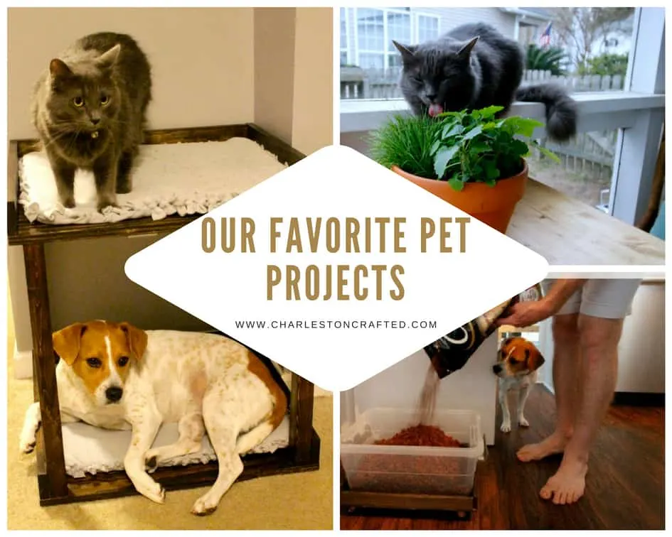 Our Favorite Pet Projects - Charleston Crafted