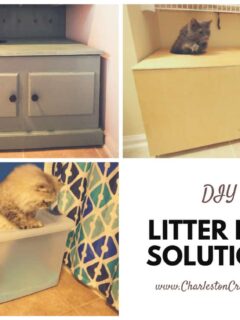 Litter Box Solutions - Charleston Crafted