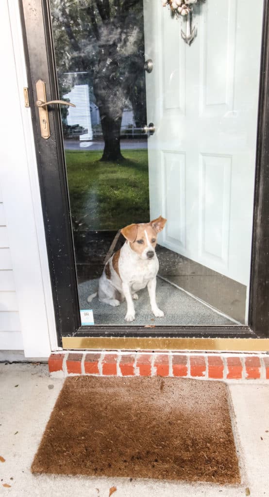 Ways to reduce allergens in your home via Charleston Crafted by using two doormats