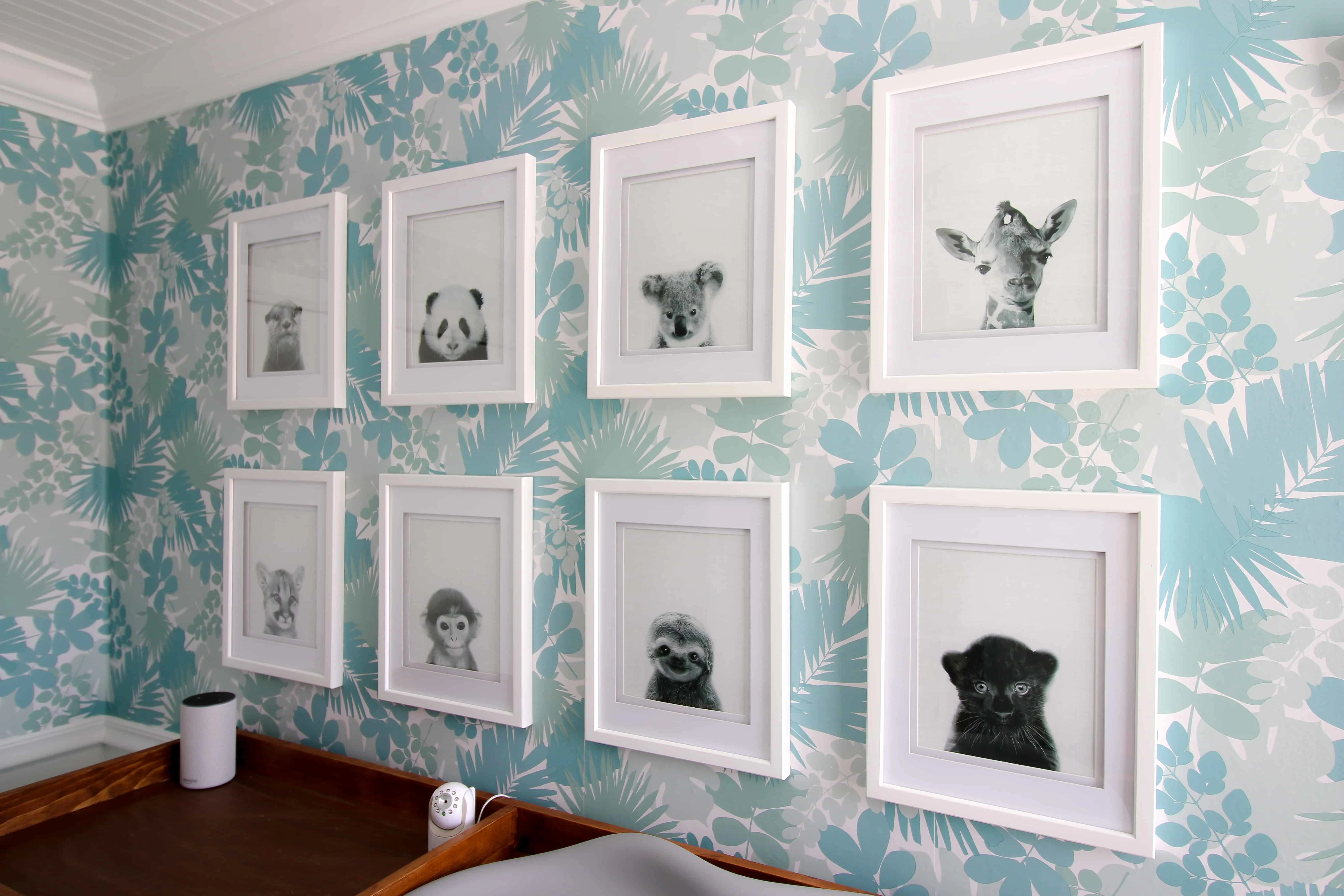 Baby Animal Gallery Wall
