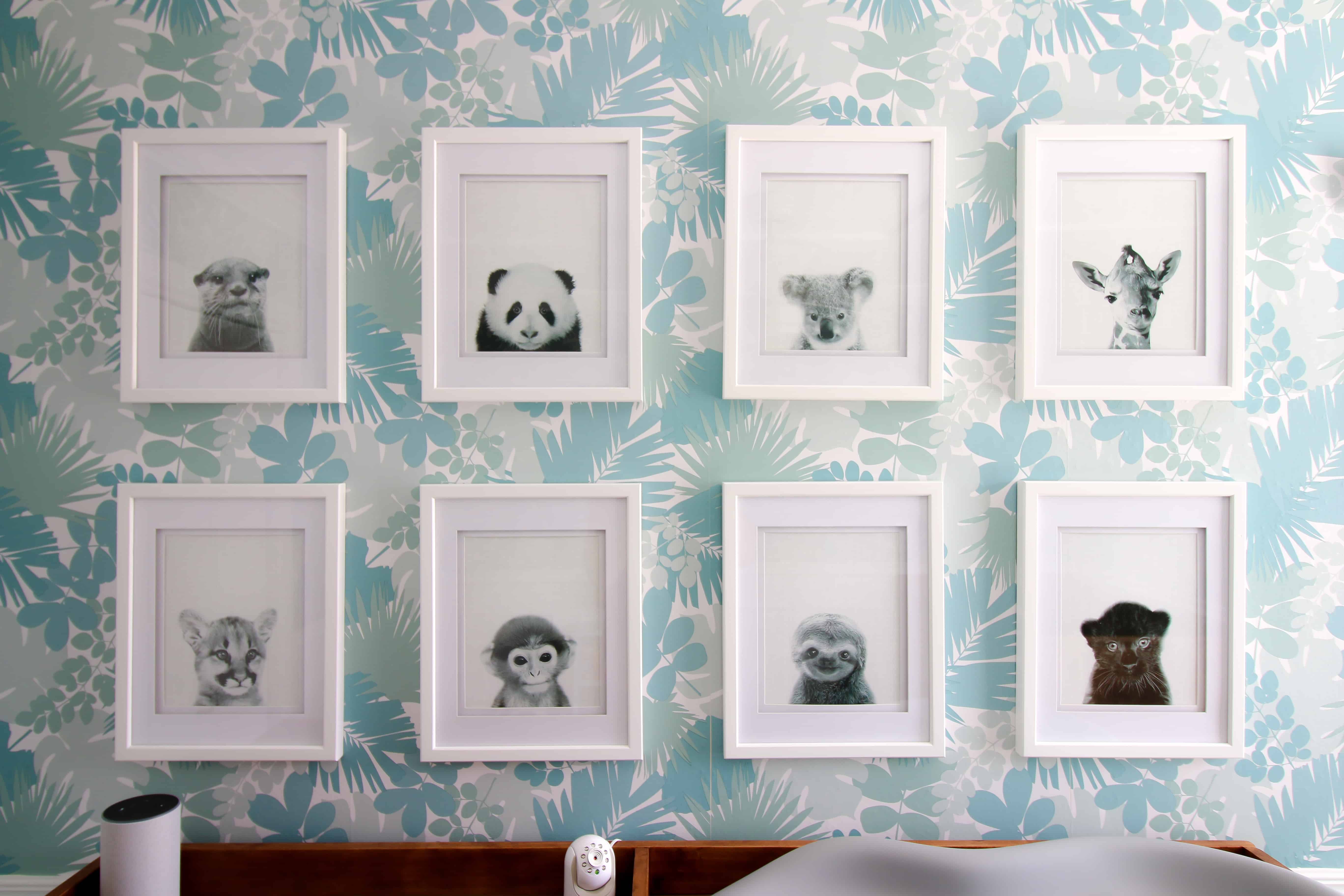 Baby Animal Gallery Wall