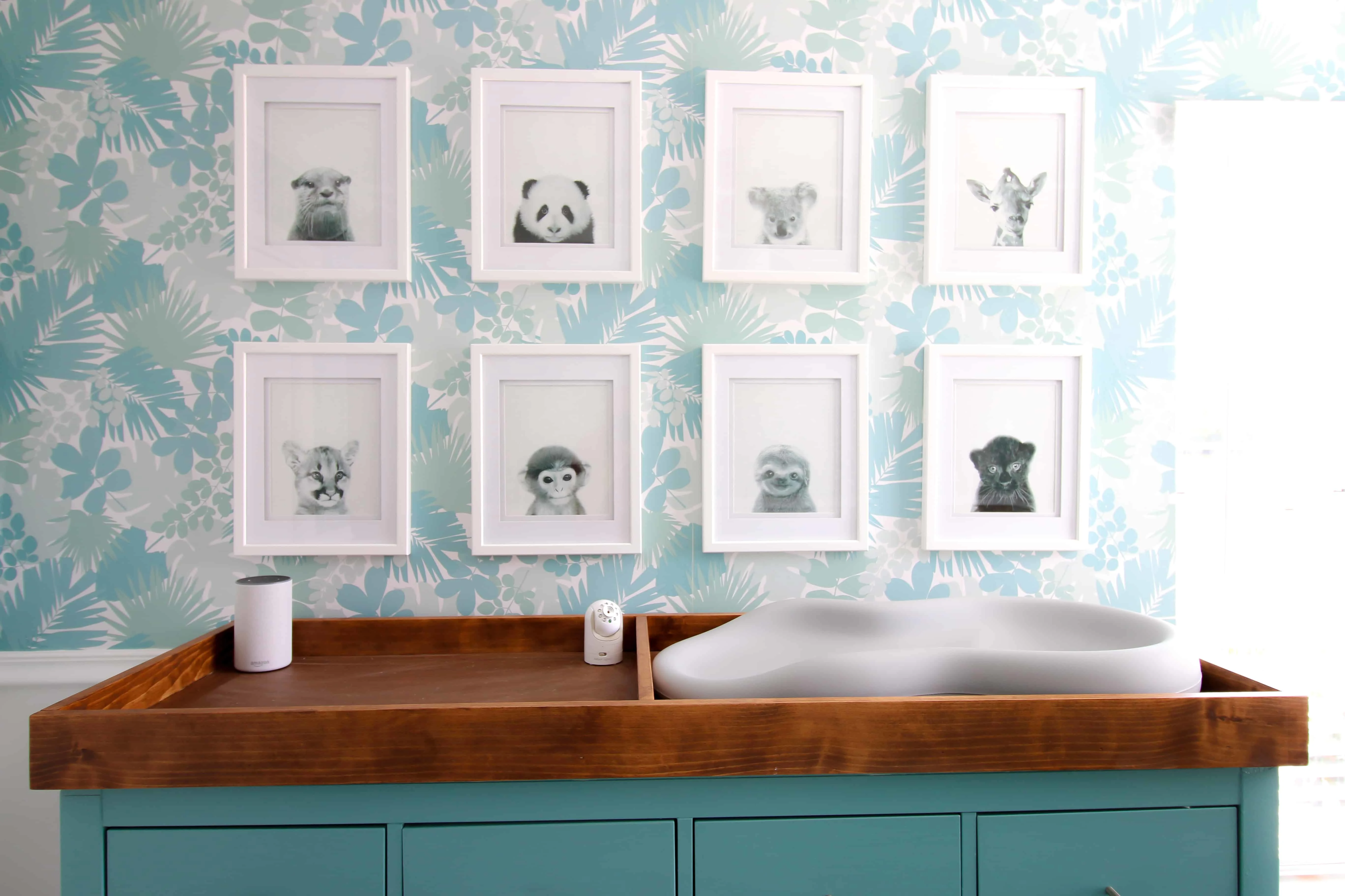 Baby Animal Gallery Wall