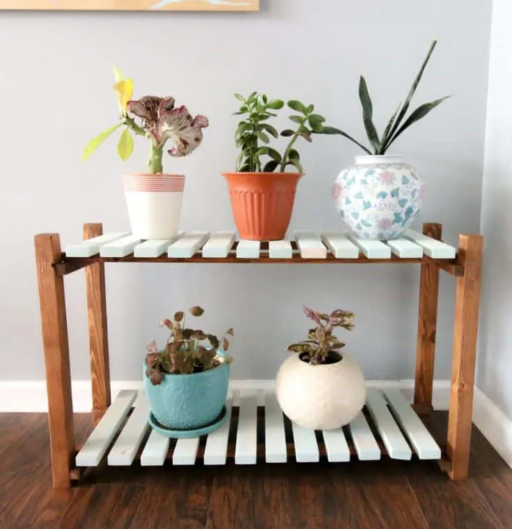 Skinny plant deals table