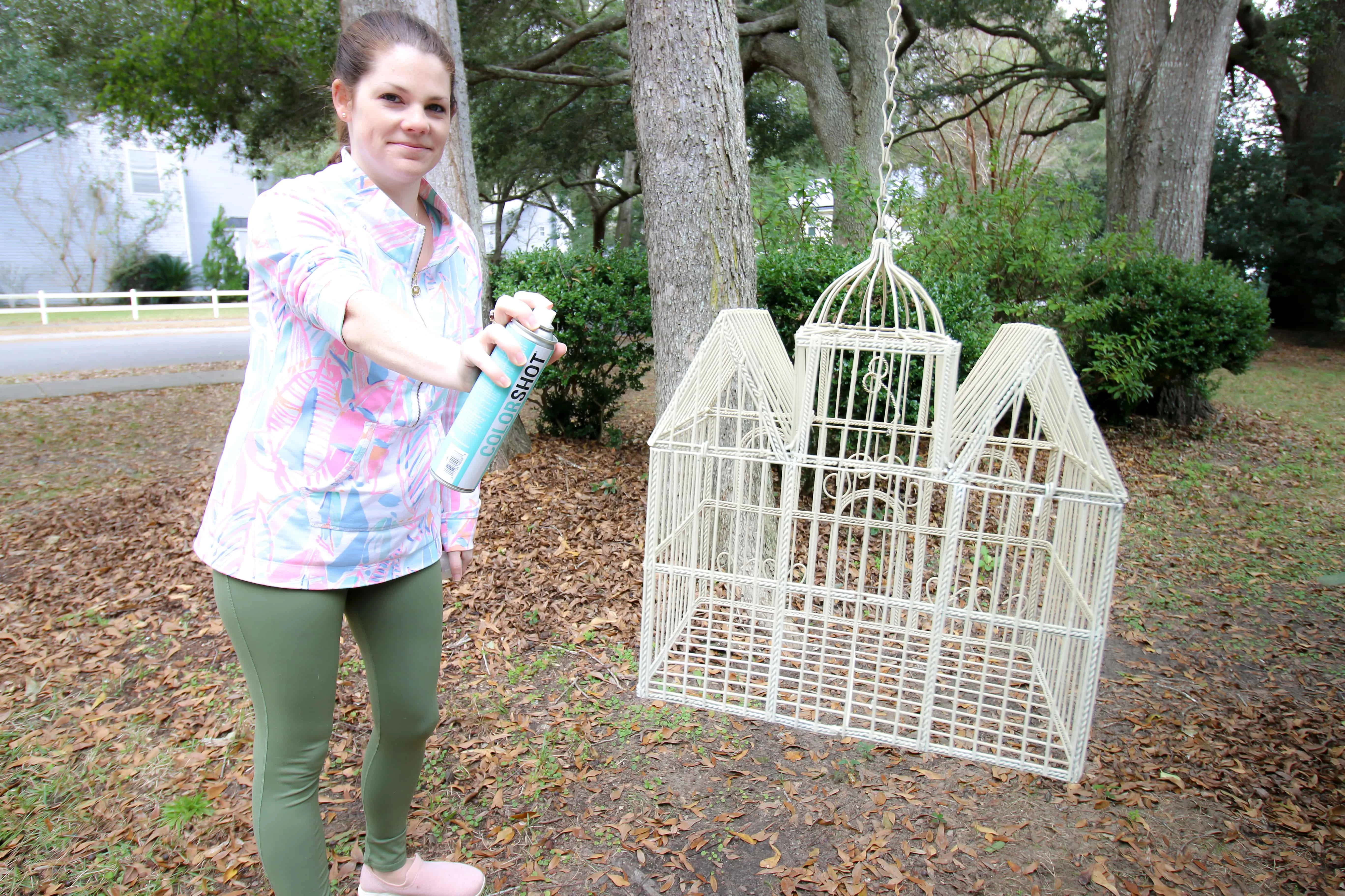 Bird Cage Planter Upcycle