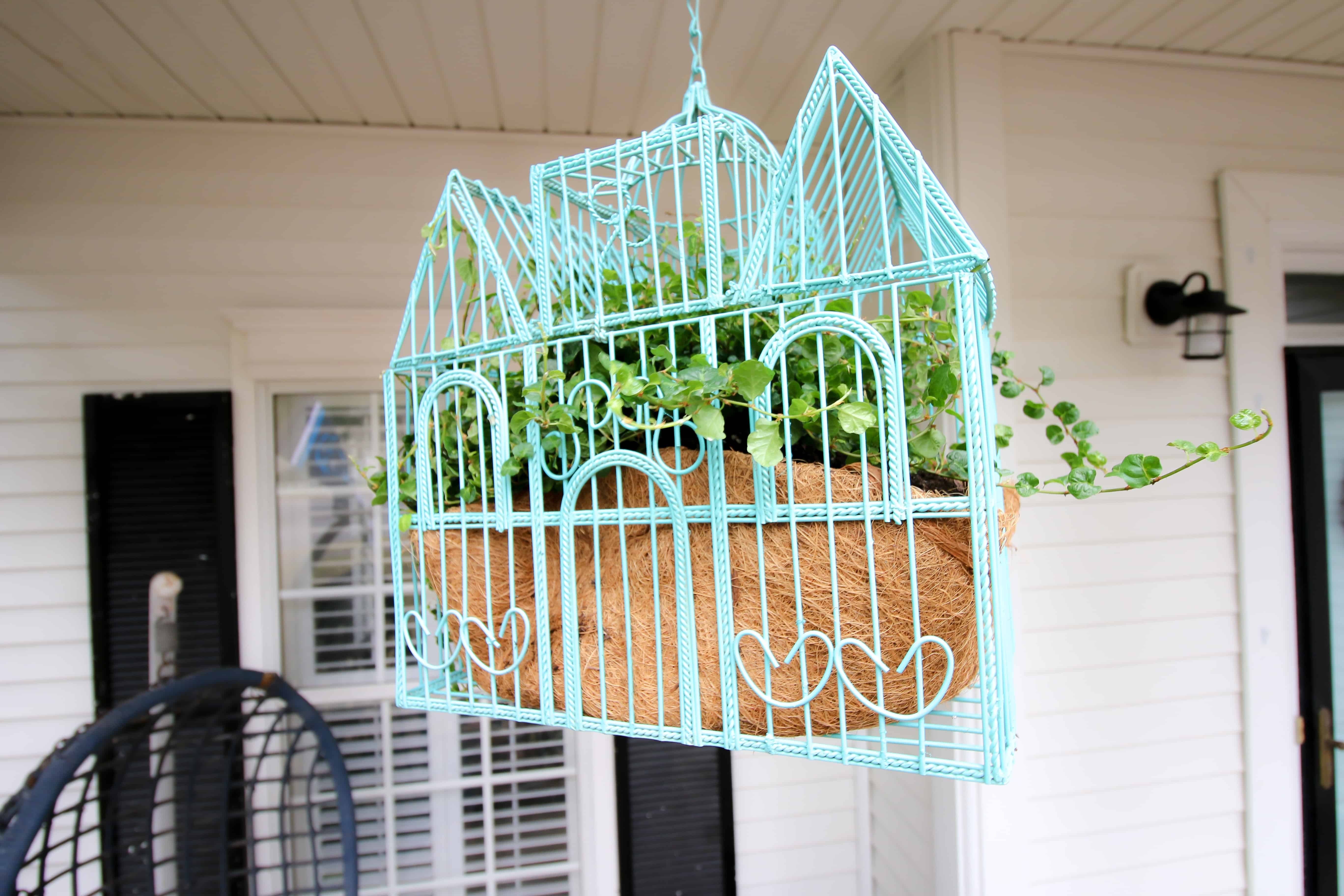 Bird Cage Planter Upcycle