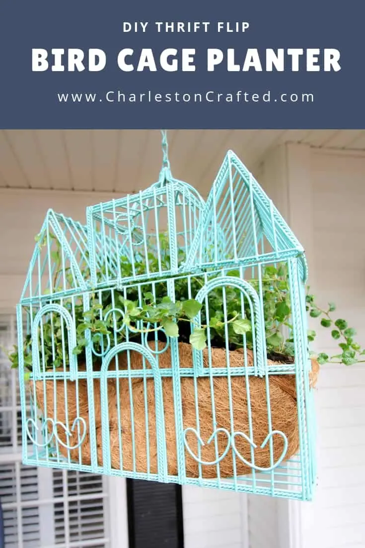 bird cage planter