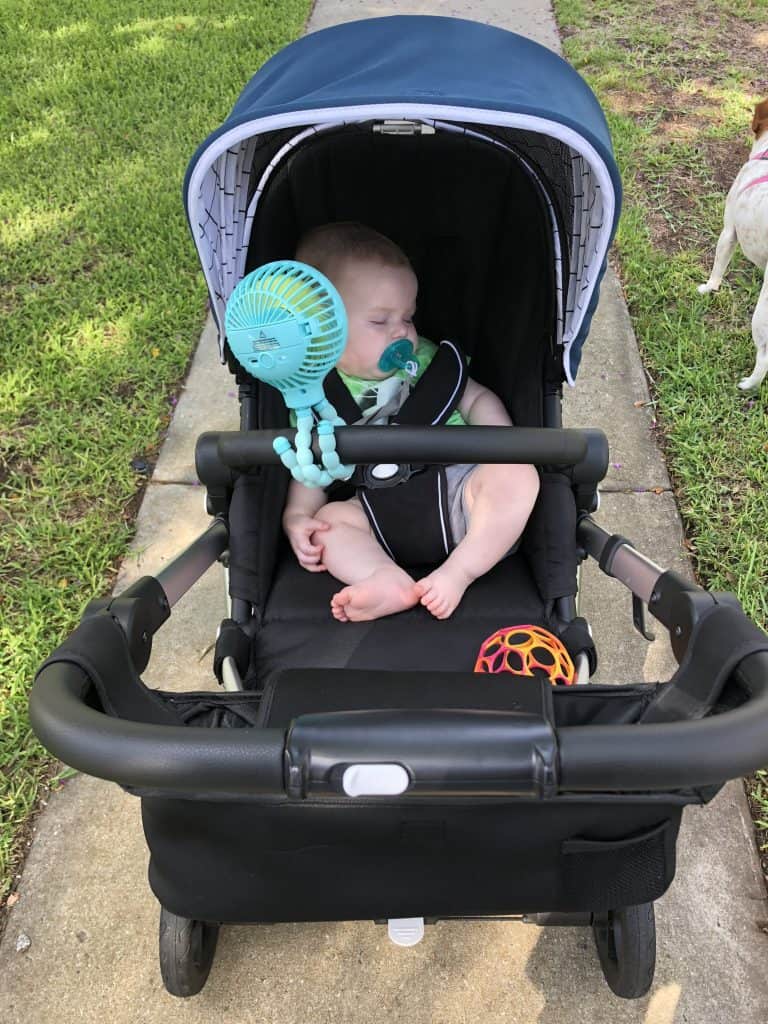 little bird stroller review