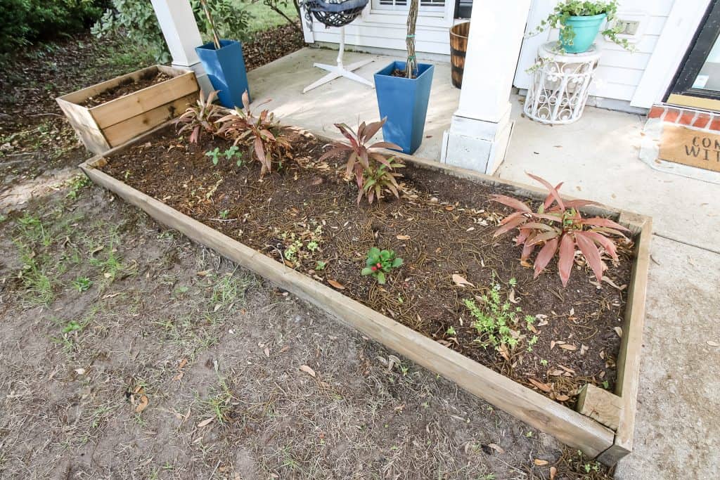 Front yard flower bed before