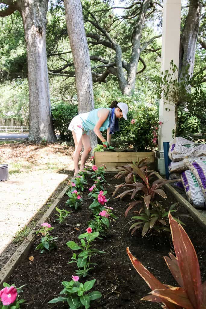 planting vinca in the front yard flower bed