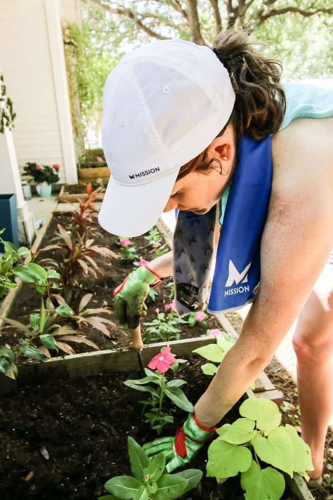 planting in the Front yard flower bed