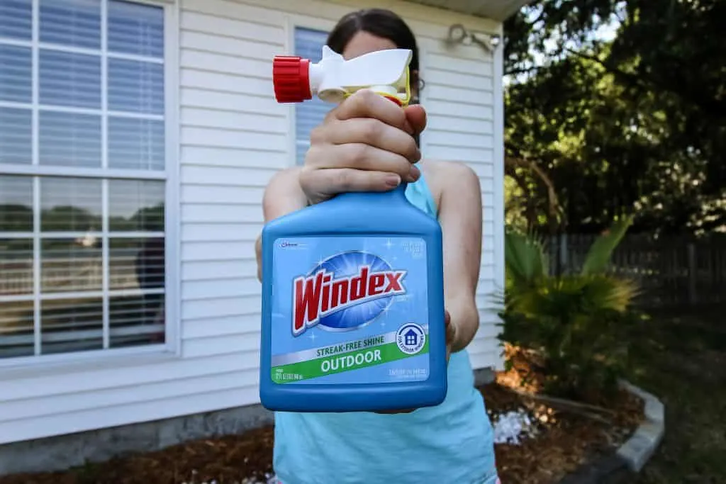 How to Clean Outdoor Windows with Windex Outdoor Sprayer