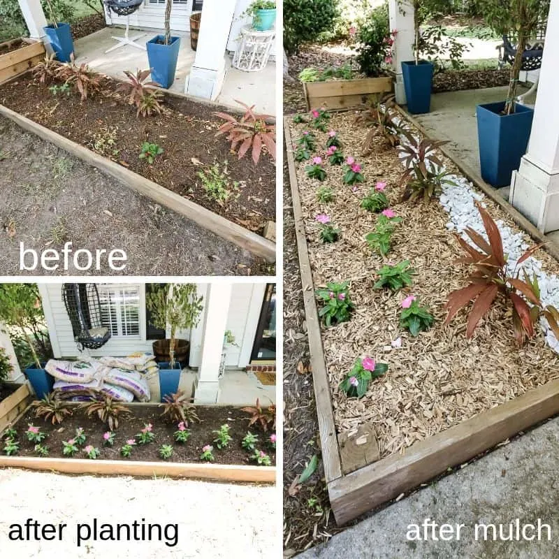 planters before and after
